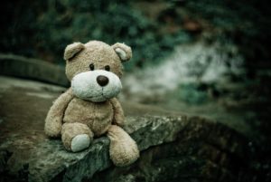 TOY BEAR